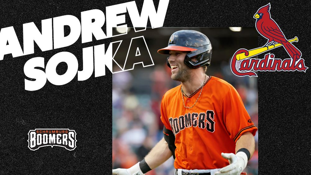 Contract of Sojka Sold to the Cardinals