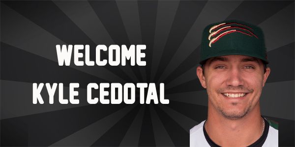 Boomers Sign LHP Kyle Cedotal