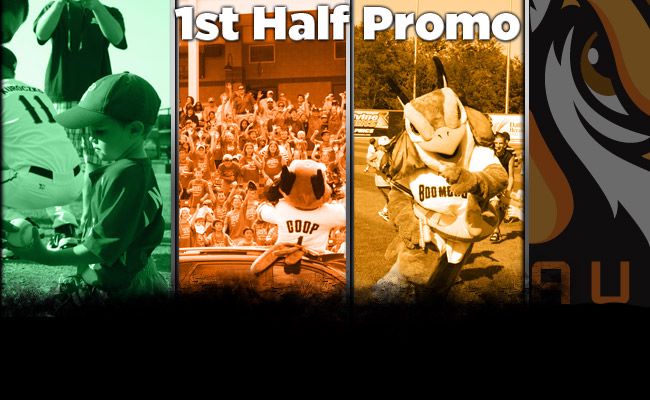 2013 First Half Promotions