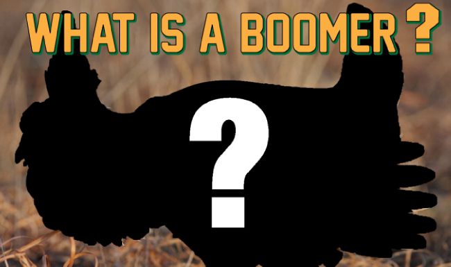 What is a Boomer?