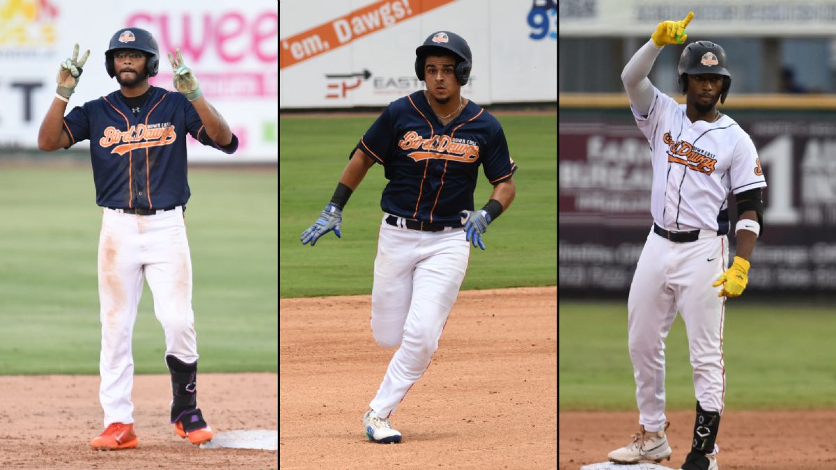 Bird Dawgs Player Spotlight: Hill, Laboy, and LaPread