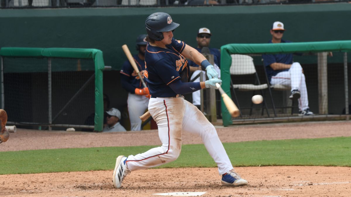 Bird Dawgs Drop Heartbreaker on Walk-Off in Series Finale