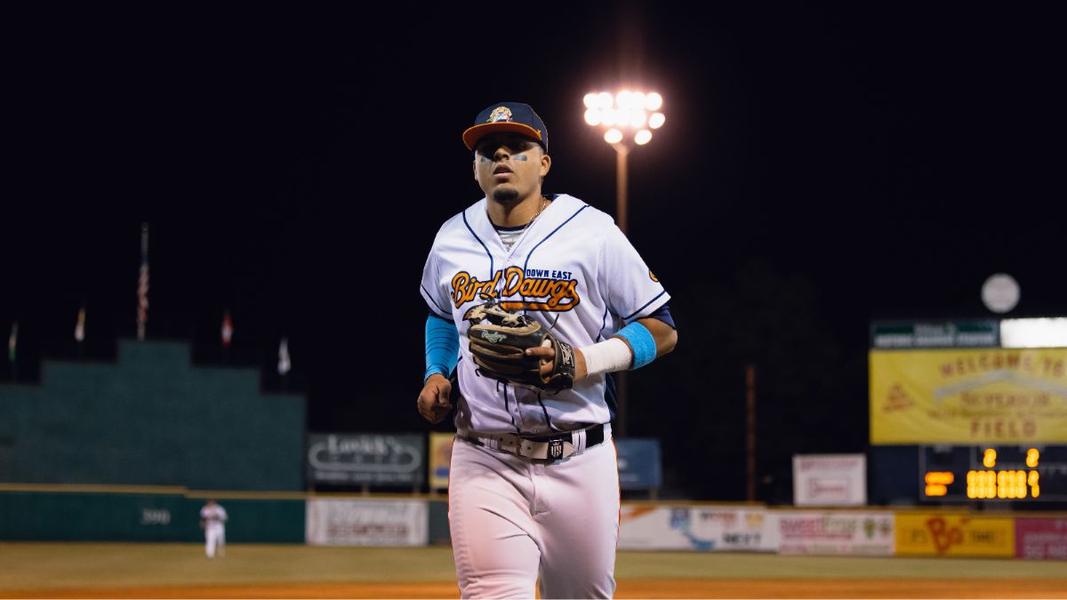 Bird Dawgs Drop 16-9 Slugfest to Jackals, Set Up Rubber Match Sunday