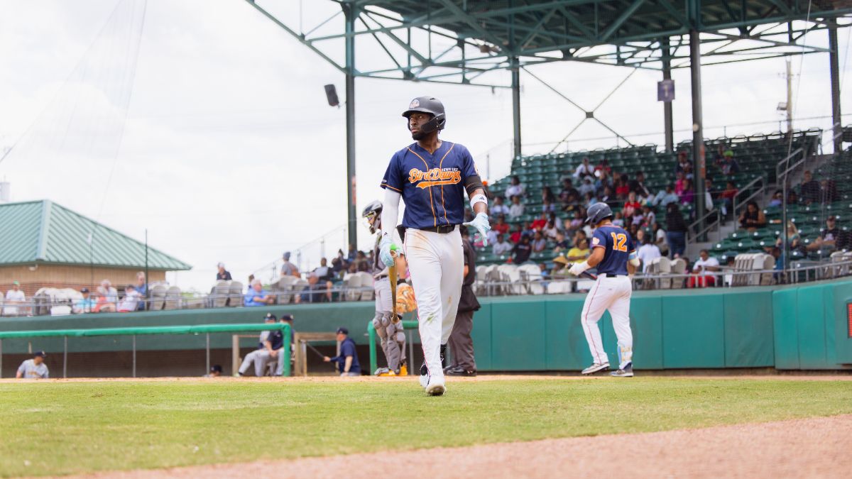 Bird Dawgs Drop Series Opener to Brockton 6-2