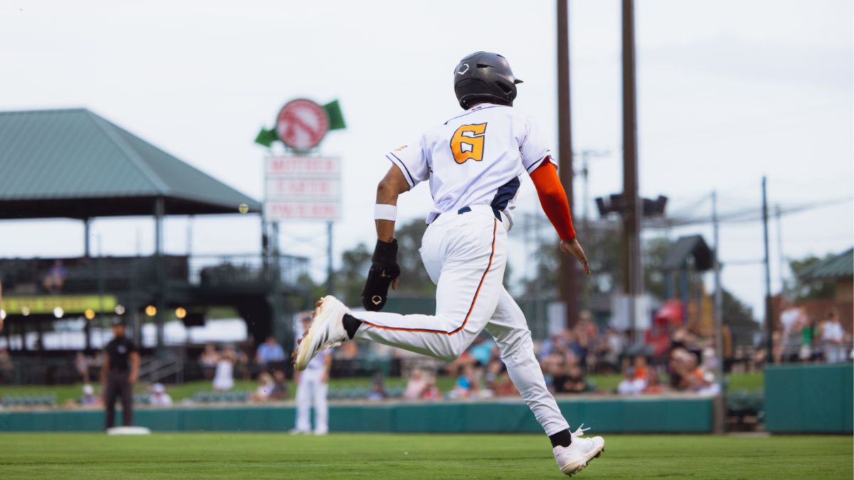 Bird Dawgs Drop 14-6 Decision to Jackals, Look to Bounce Back in Rubber Match