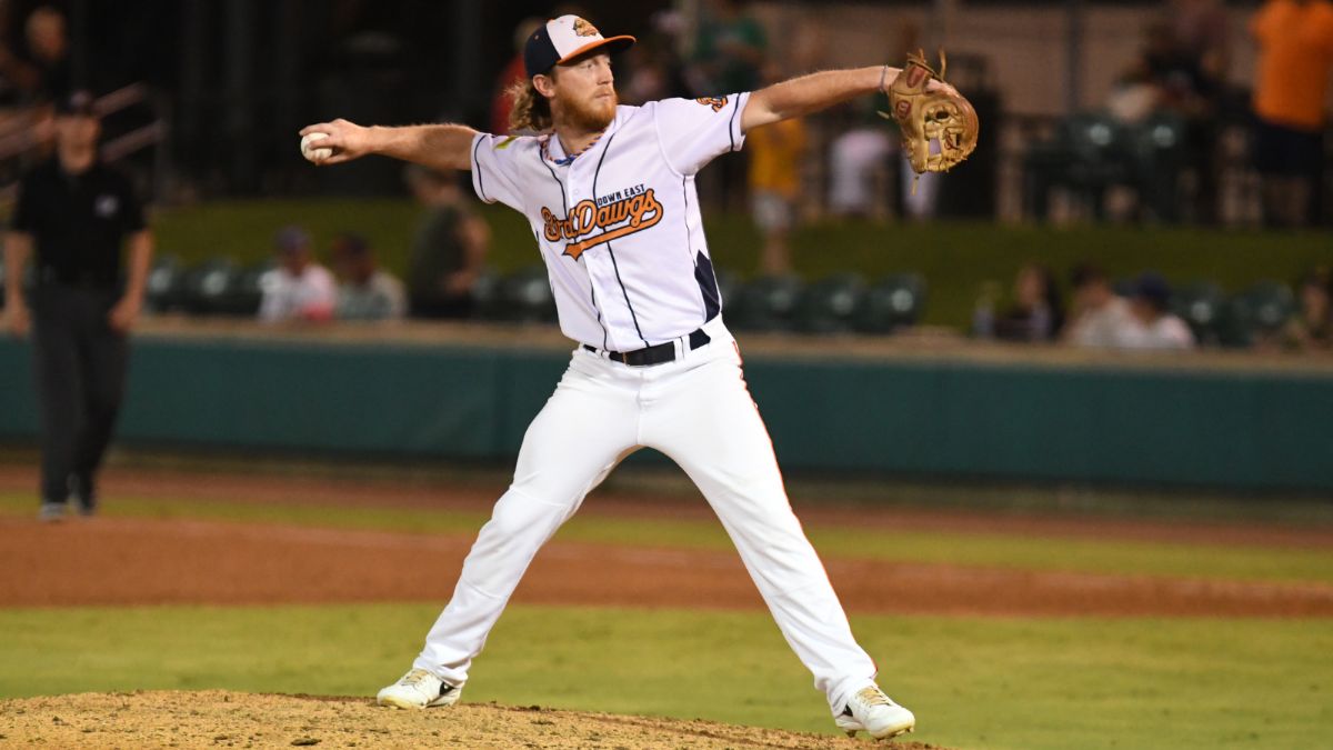 Bird Dawgs Fall 7-4 in Rubber Match, Drop Series to Wild Things