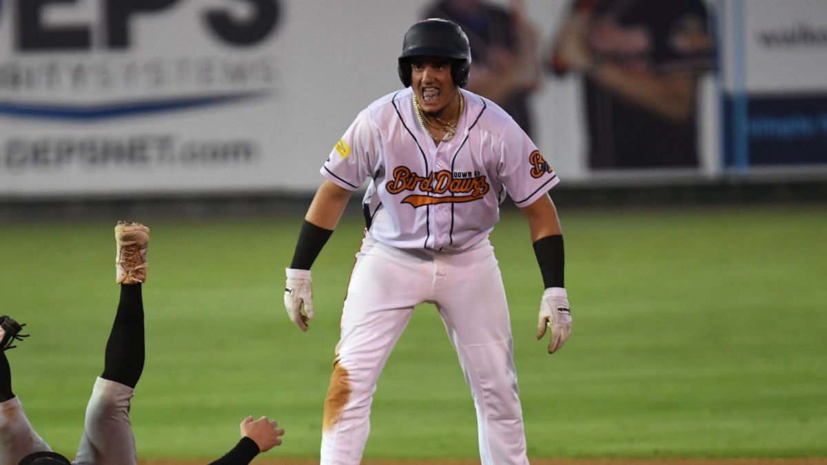 Bird Dawgs Walk Off Boulders to Win Series