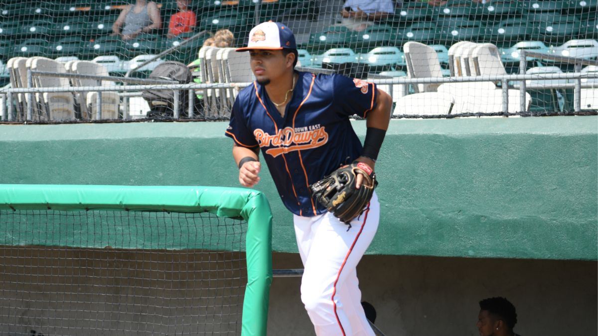 Bird Dawgs Drop Doubleheader to Miners