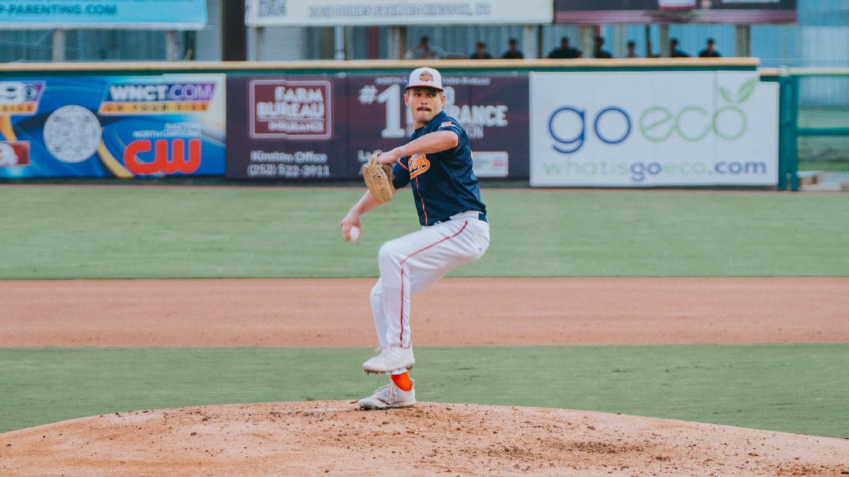 Storms Cut Short Bird Dawgs Night in Brockton