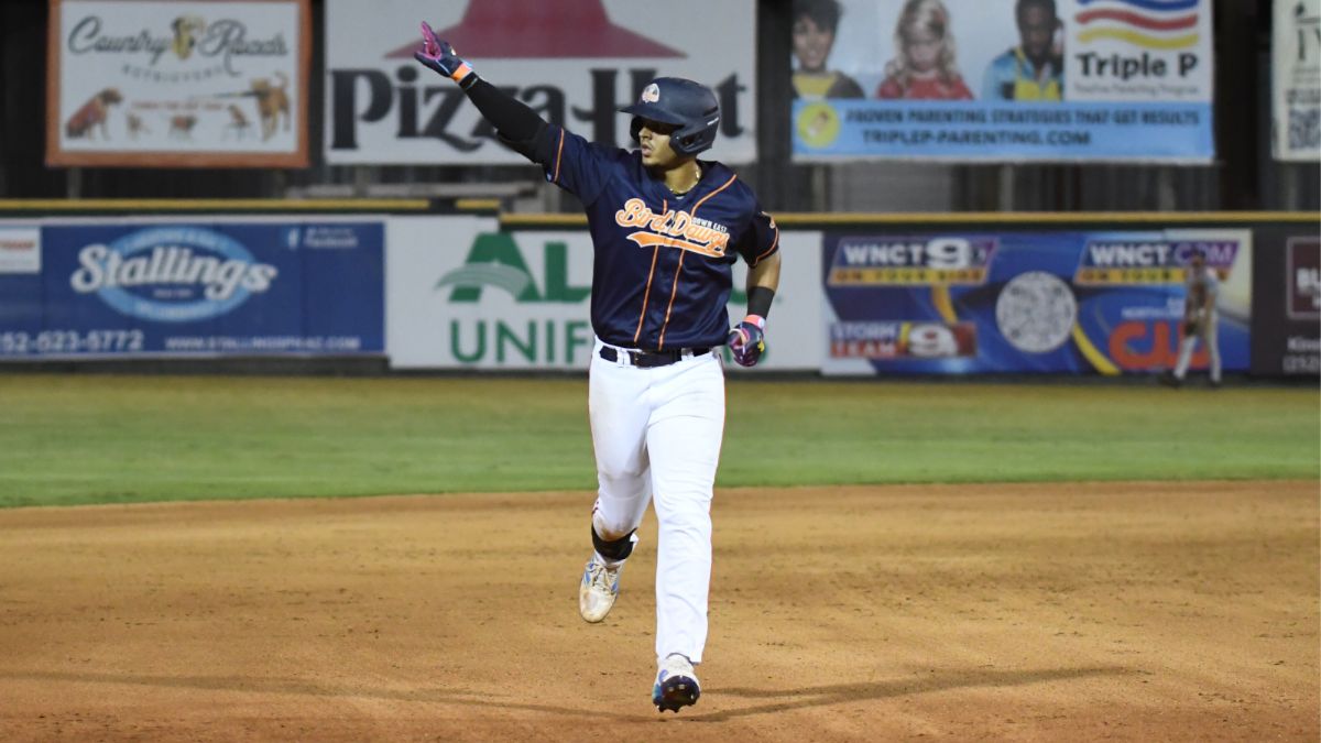 Bird Dawgs Fall in Slugfest Against Miners