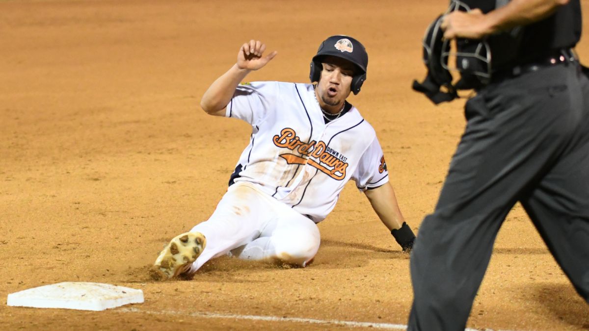 Bird Dawgs Stumble Late in 12-5 Loss to Crushers