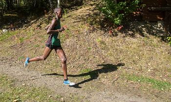 Last Tune-Up For League Harriers Saturday In Bellingham