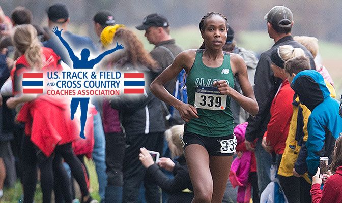Caroline Kurgat became the second GNAC athlete to win the Division II women's cross country national title, posting a 20-second victory at the national meet on Nov. 18.