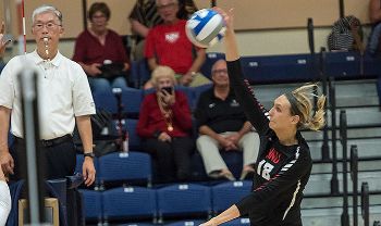 Volleyball Performances Lead GNAC Weekly Honors