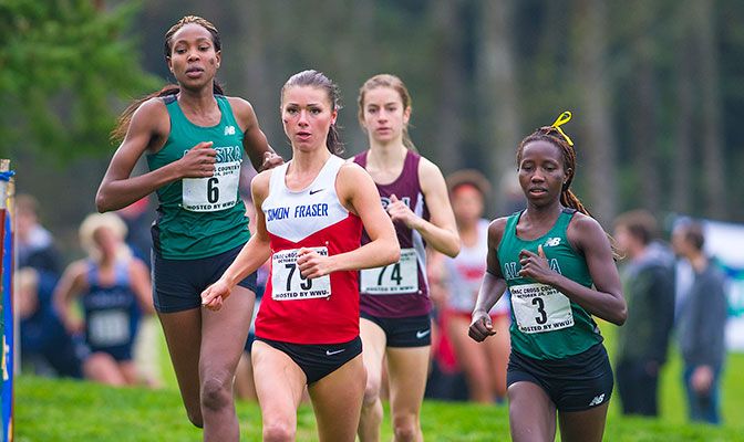 The top-three finishers from last year's GNAC Championships all return in 2016. From left, Caroline Kurgat (UAA), Rebecca Basswet (SFU) and Joyce Chelimo (UAA).