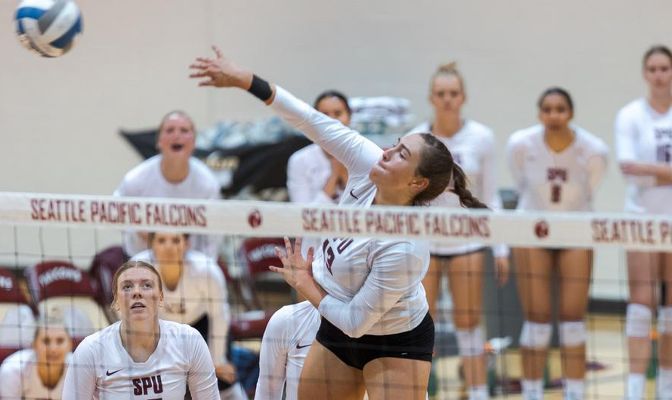 SPU's Sarah Brachvogel was named MVP of the Cougar Classic after helping the Falcons to a perfect 4-0 record in California.