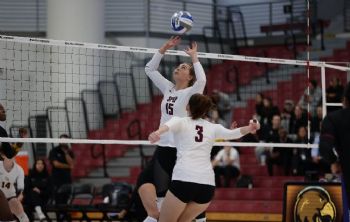 Falcons Fall To Golden Eagles In VB Regionals