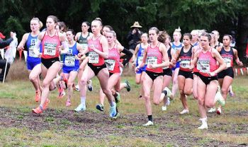 West World: Will Simon Fraser Run To Regional Trophies?