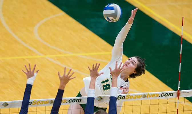 The Seawolves' Vanessa Hayes earned GNAC Offensive Player of the Week honors for her 34 kills and .438 hitting percentage in wins over Western Oregon and Concordia.