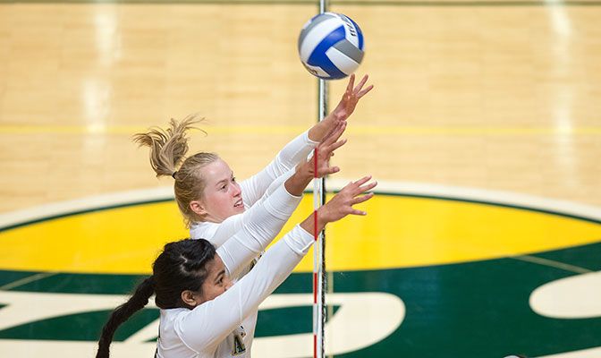 Alaska Anchorage's Vera Pluharova (top) is one of eight GNAC players ranked in the NCAA Division II top-50 in blocks. She ranks 18th with 1.25 blocks per set.