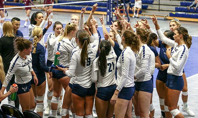 Western Washington is riding a 15-match win streak, having not lost since dropping three straight matches against top-25 teams to open the season.
