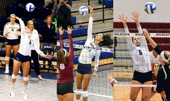 Five GNAC Players Earn D2CCA Volleyball All-Region Honors