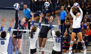 Trio Of Vikings Earn Volleyball All-America Honors