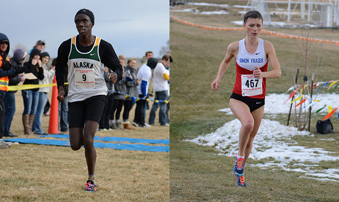 UAA's Henry Cheseto and SFU's Rebecca Bassett lead talented returning teams at the top of the GNAC Preseason Cross Country Polls.