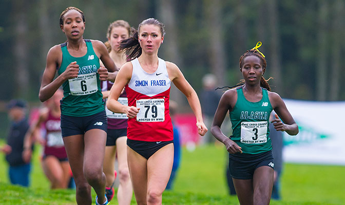 Caroline Kurgat (6), Rebecca Bassett (79) and Joyce Chelimo joined Taylor Guenther as the GNAC's four women's cross country All-Americans. Photo by Dan Levine.