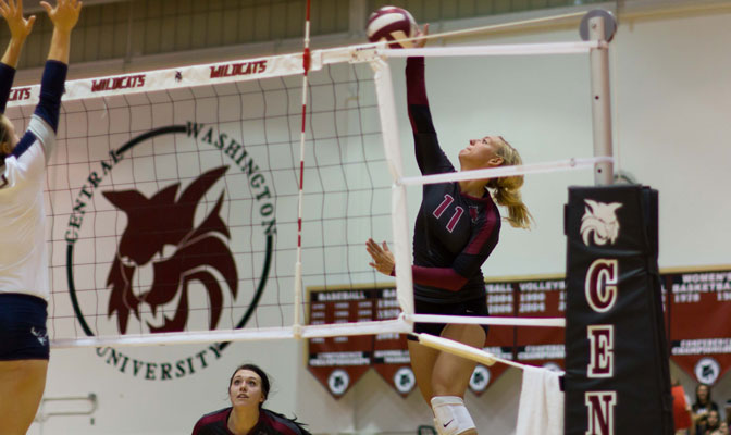 Central Washington outside hitter Marcy Hjellum (11) had 39 kills and 36 digs in leading CWU to two wins last week (CWU Photo by Thomas vonAhlefeld)