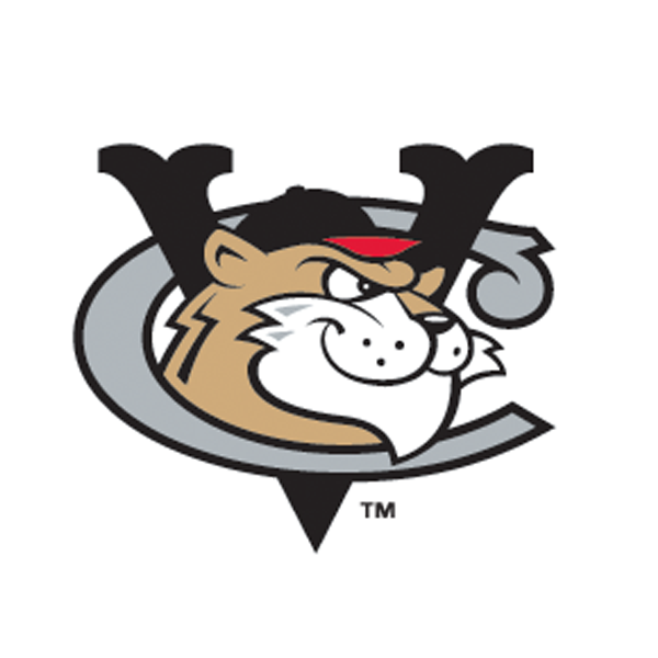 Tri-City ValleyCats logo