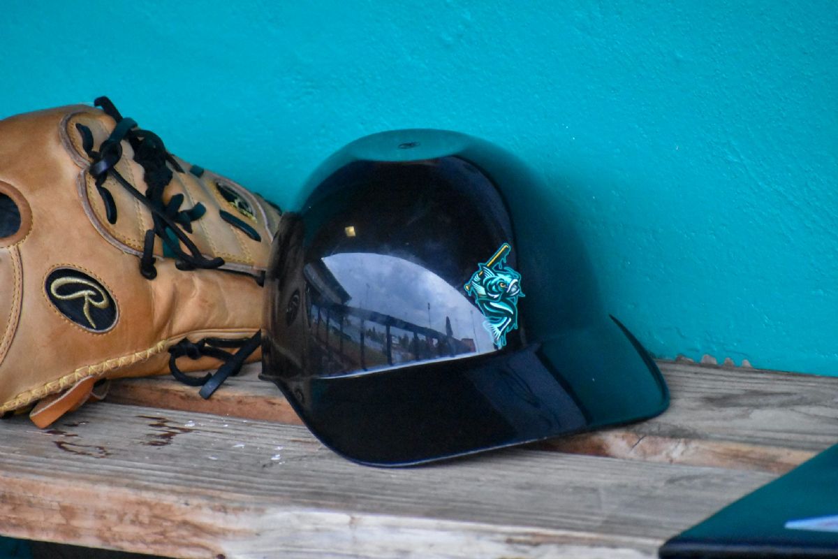 Wild Things Pull Away as Mud Monsters Drop Opener 10-5