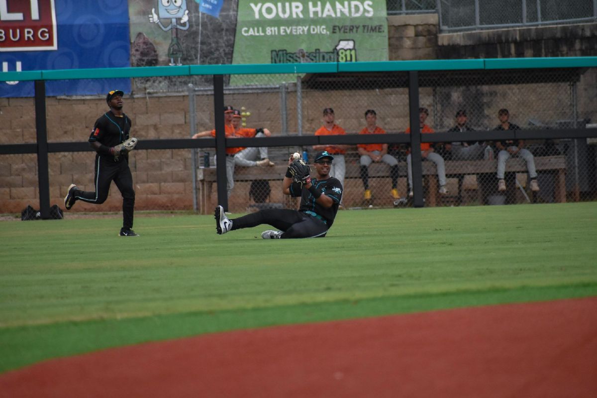 Skinner, Paz Each Deliver Two Hit Days in 7-2 Loss to Slammers