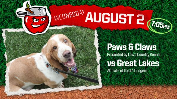 Great Lakes Loons | Wednesday, August 2, 2023 | 7:05  p.m.