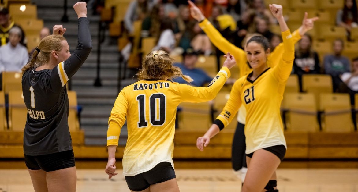 Volleyball Returns to the ARC This Weekend