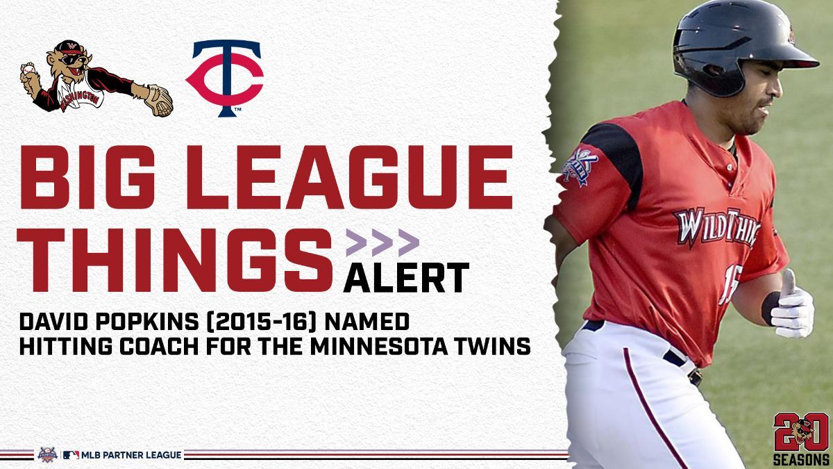 Official Minnesota Twins Website