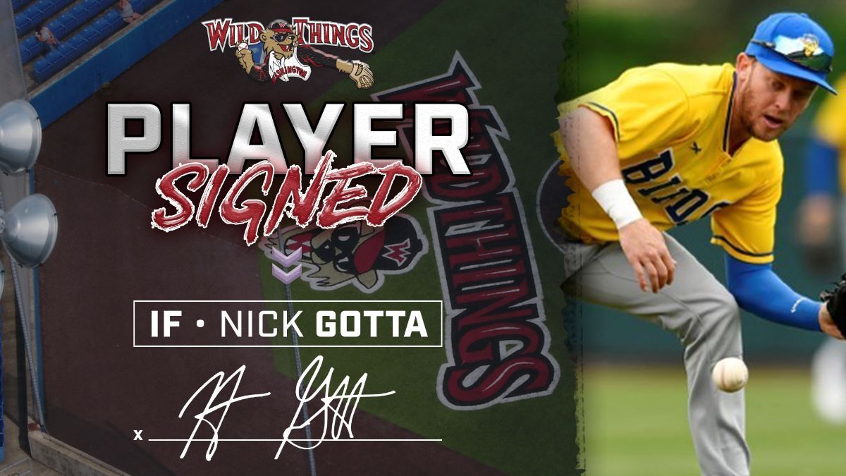 Wild Things Sign Veteran IF Nick Gotta